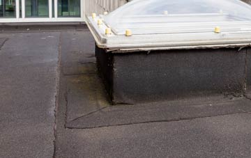 disadvantages of Tregeiriog flat roofs