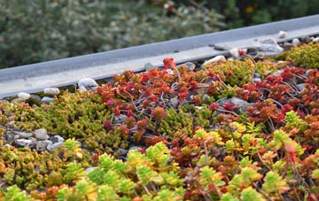 the cost of Tregeiriog green roof installation