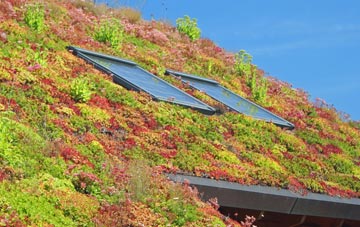 Tregeiriog living roof systems